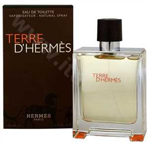 Hermes Terre dHermes EdT 100ml